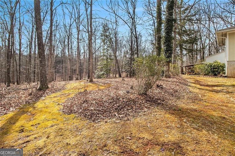 490 Dorsey Road Property Photo 61