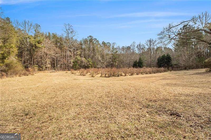 490 Dorsey Road Property Photo 66