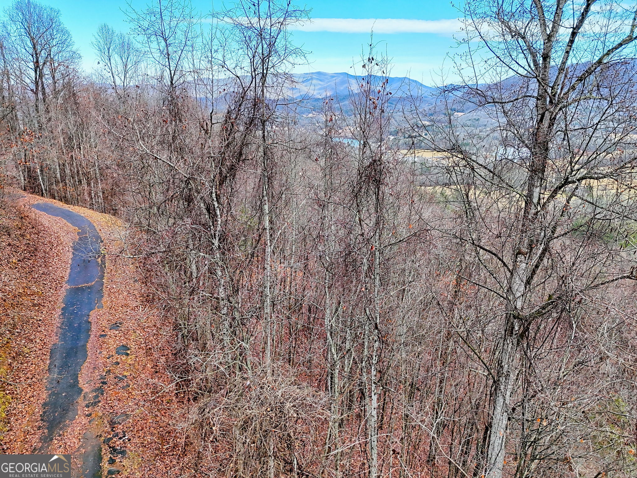 162 Eagles View Valley Property Photo 5