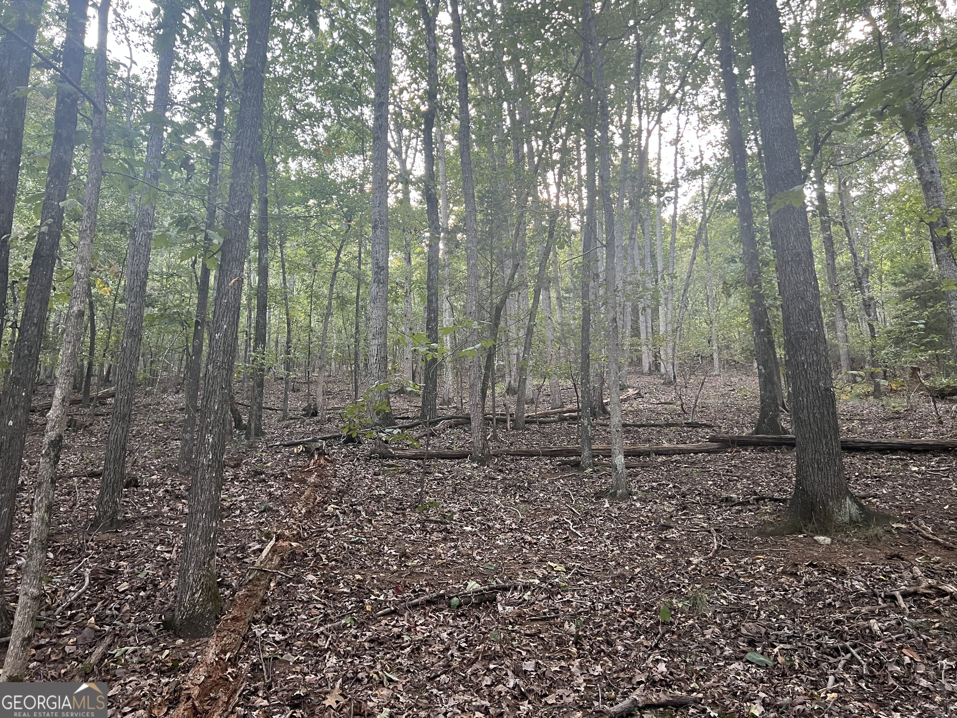 0 Rockfence Road Property Photo 1