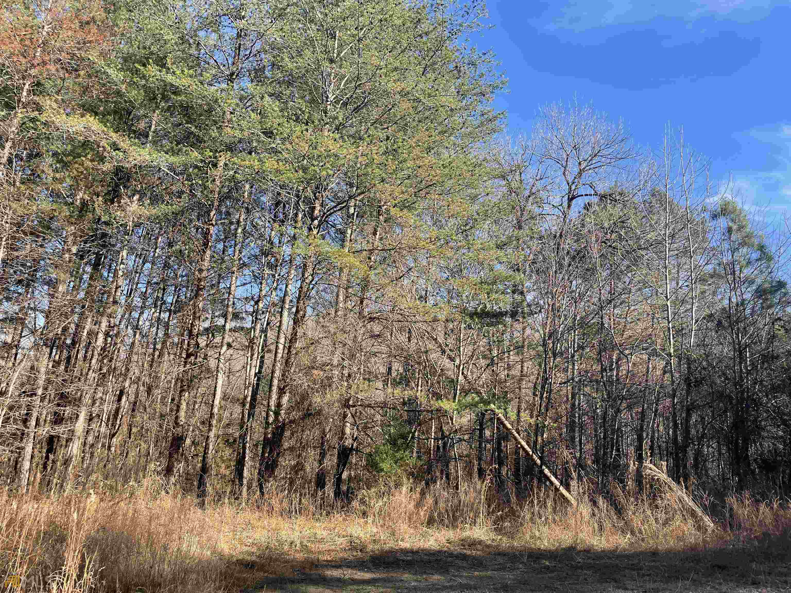 0 Rockfence Road Property Photo 8