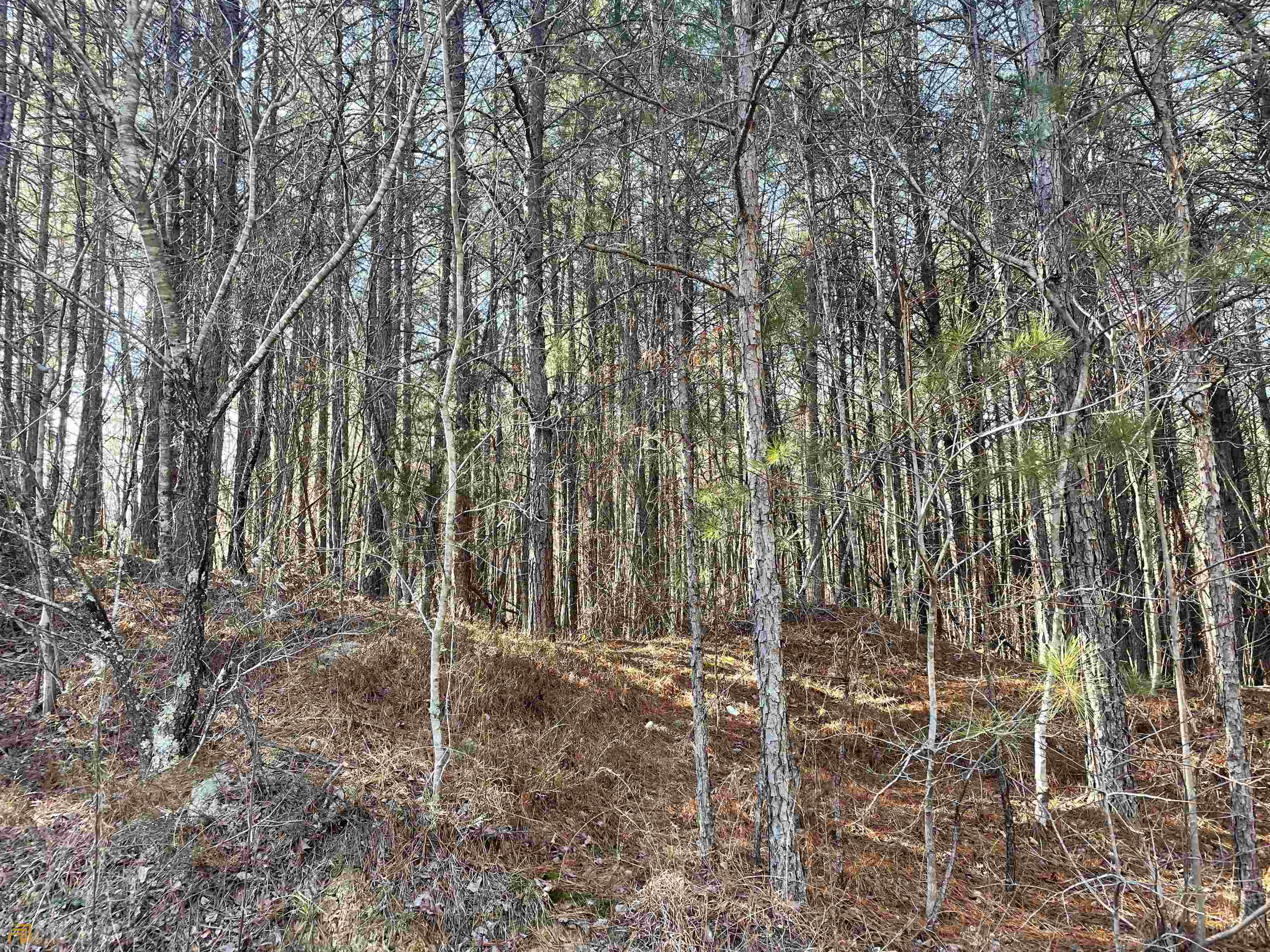 0 Rockfence Road Property Photo 9