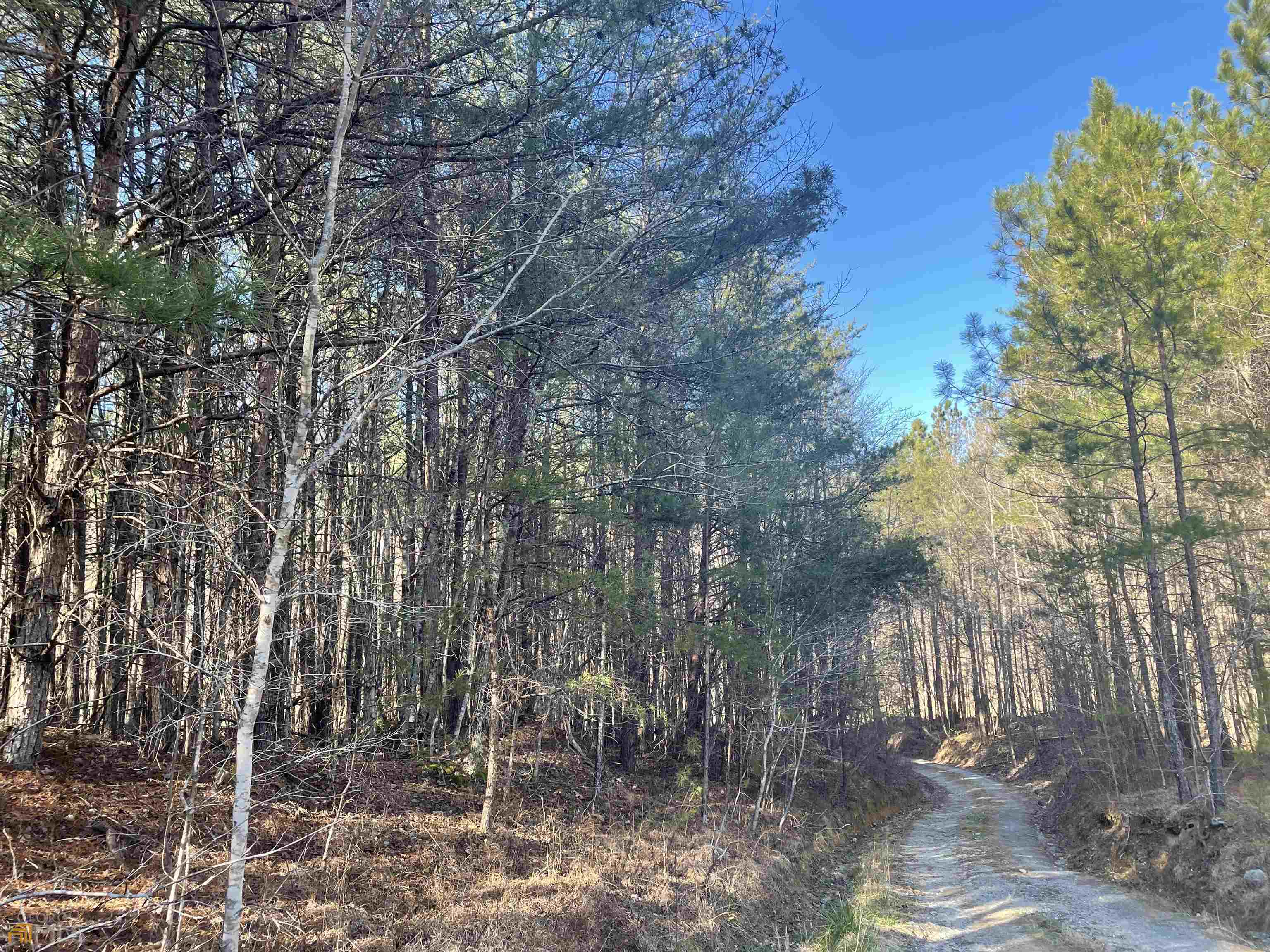 0 Rockfence Road Property Photo 10