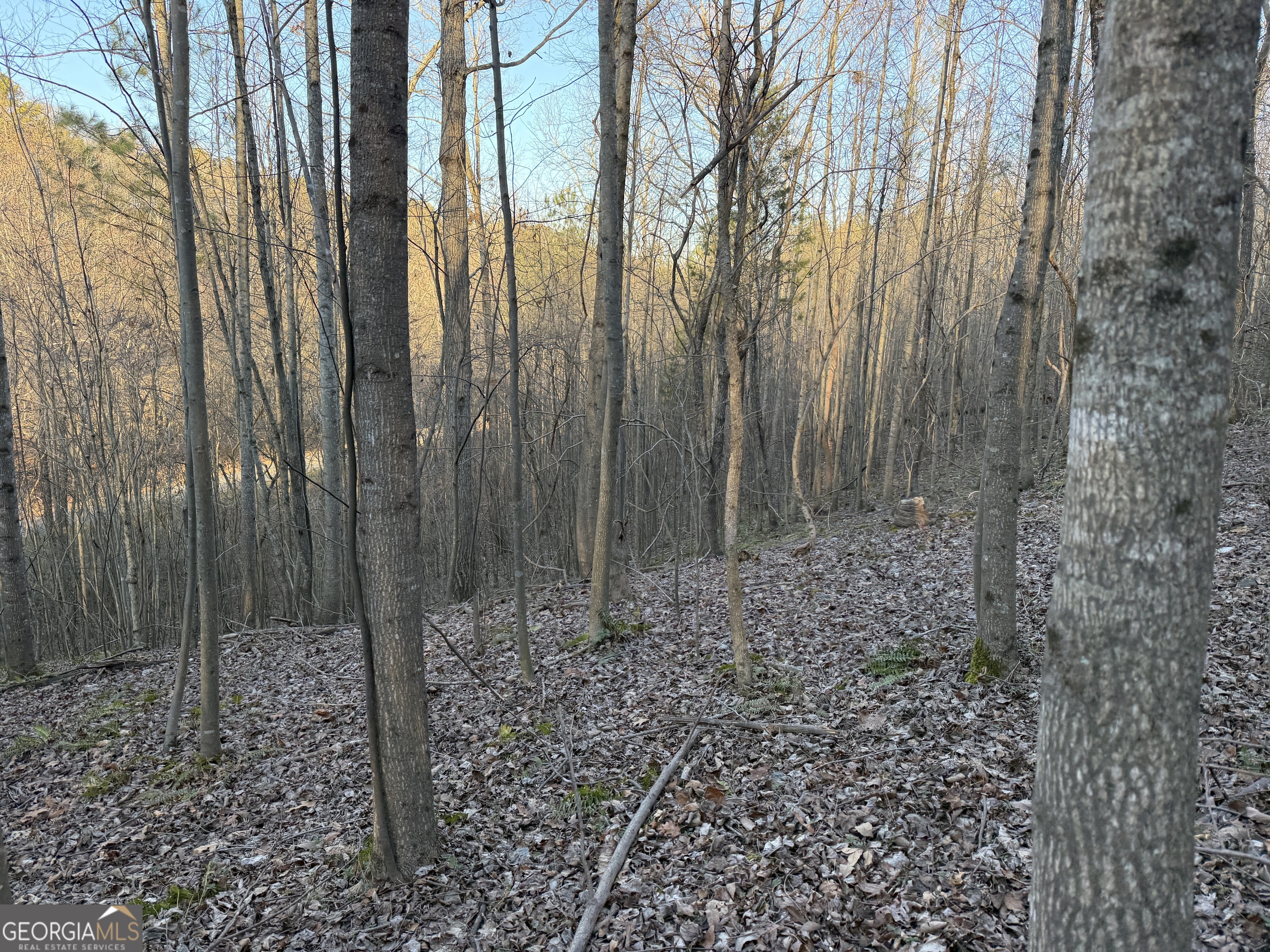 0 Rockfence Road Property Photo 13