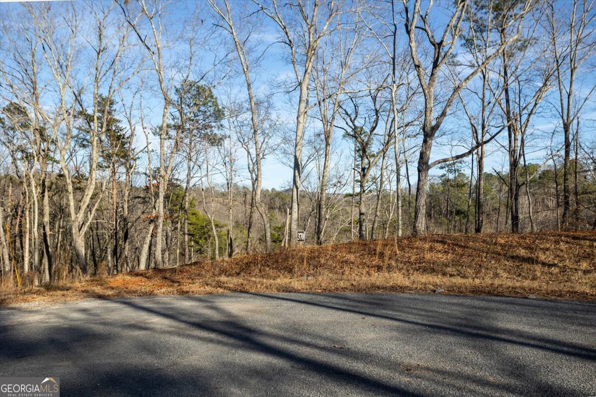 0 Meditation Lane Property Photo 1