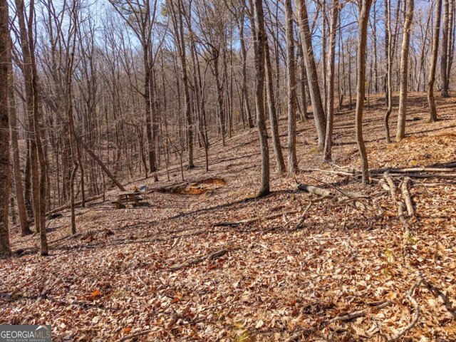 1110 Mayfield Lane Property Photo 3