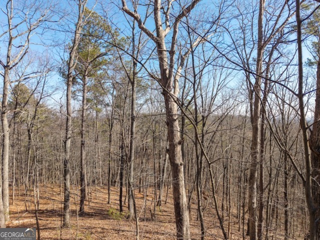 1110 Mayfield Lane Property Photo 6