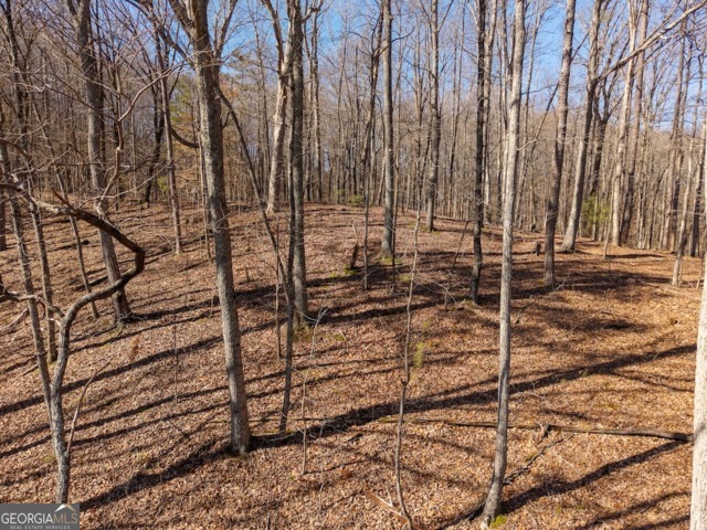 1110 Mayfield Lane Property Photo 11