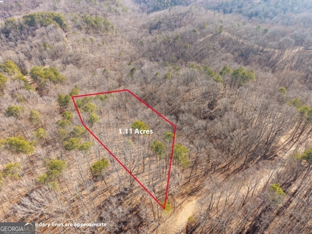 1110 Mayfield Lane Property Photo 12