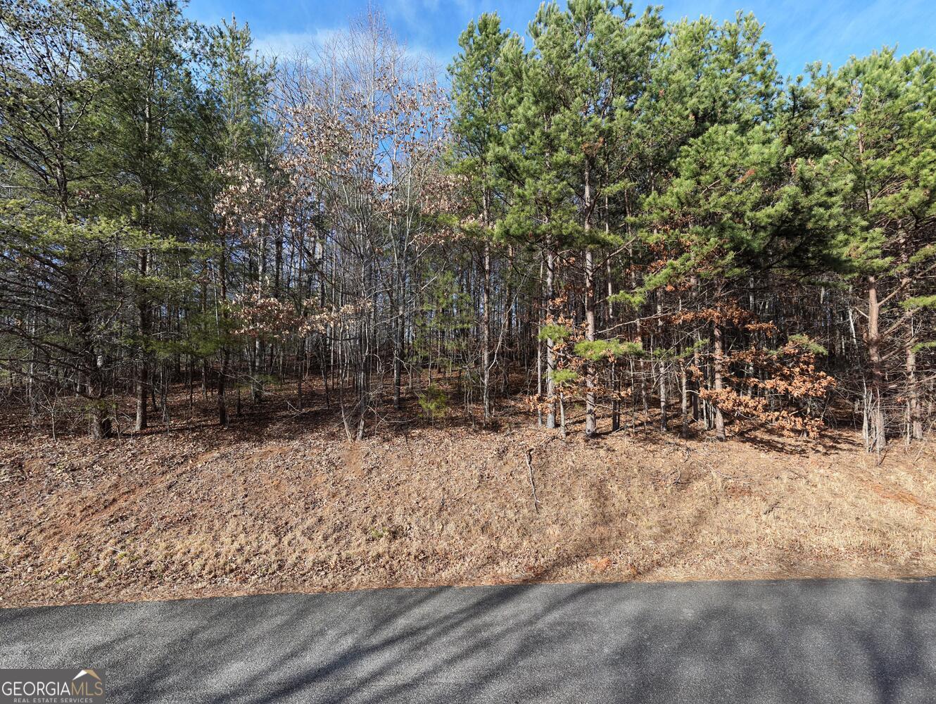 41 Hidden Fields Road Property Photo 2