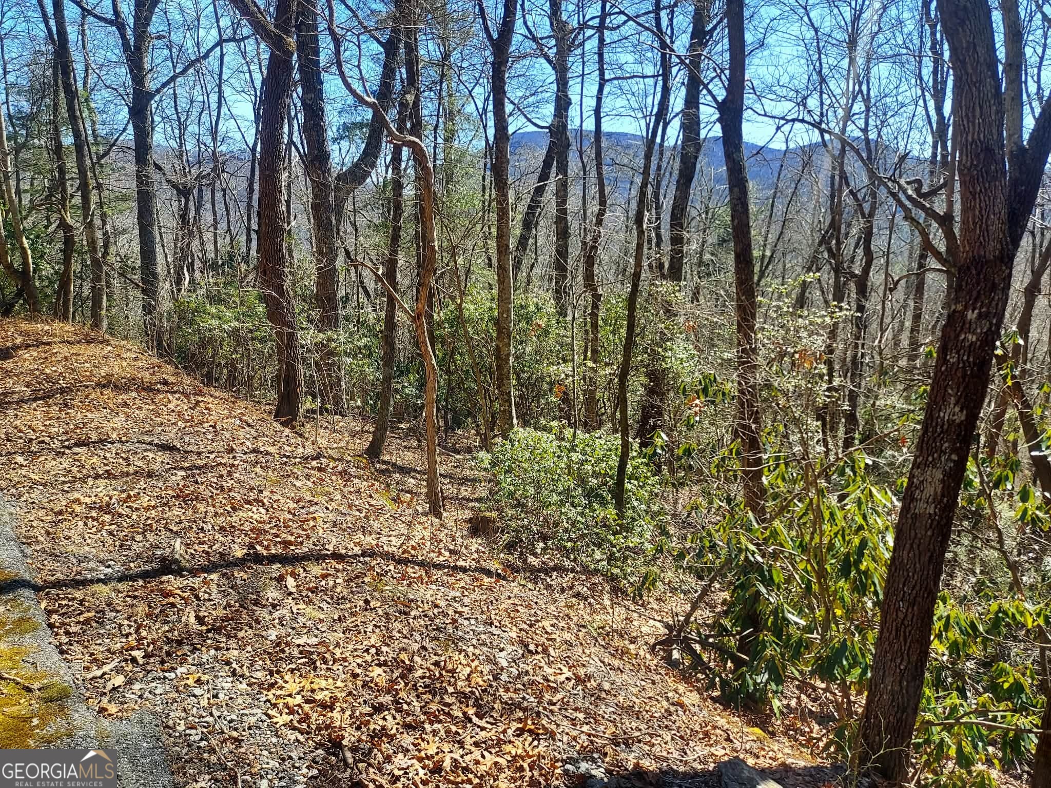 0 LOT 41 Pipetrack Gap Road