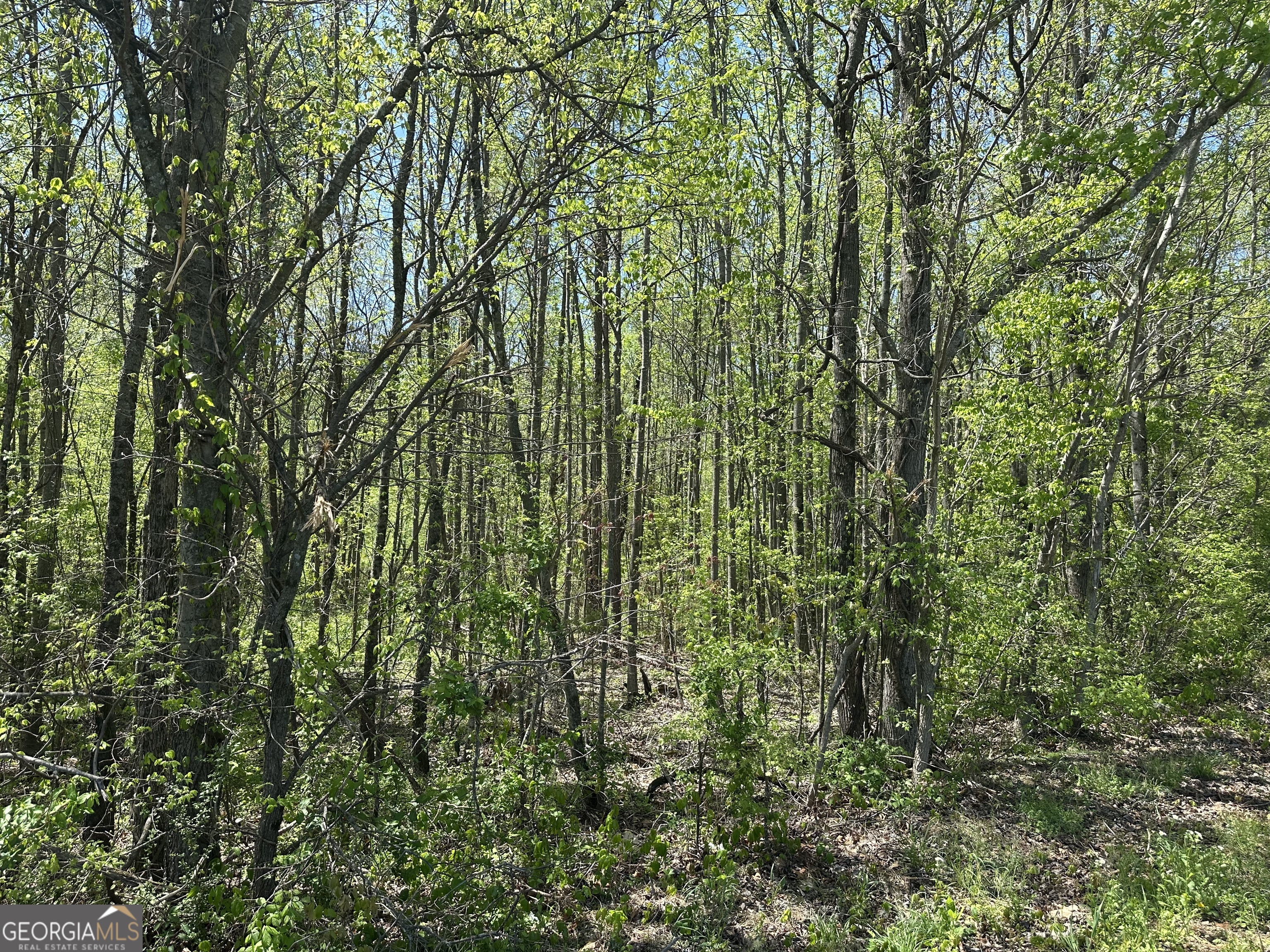 0 N. 411 Highway Property Photo 1