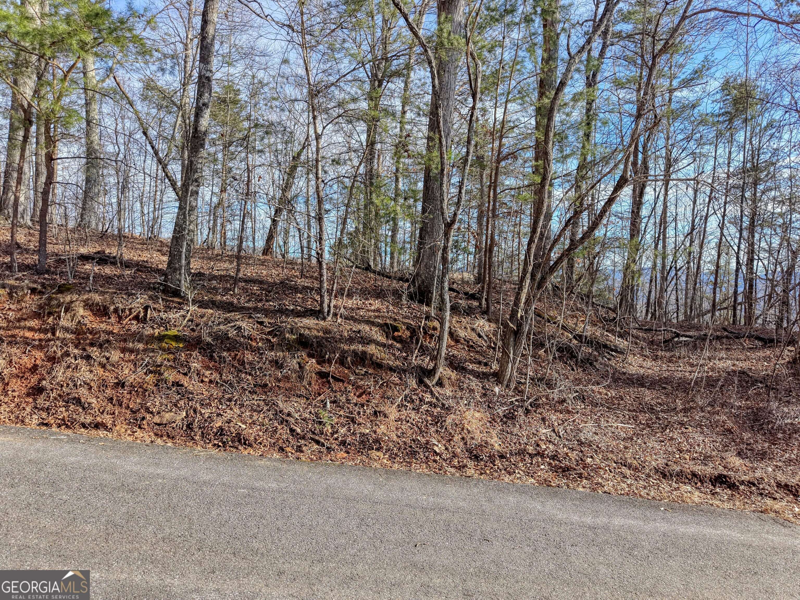 Lot 5 Harris Ridge Property Photo 2