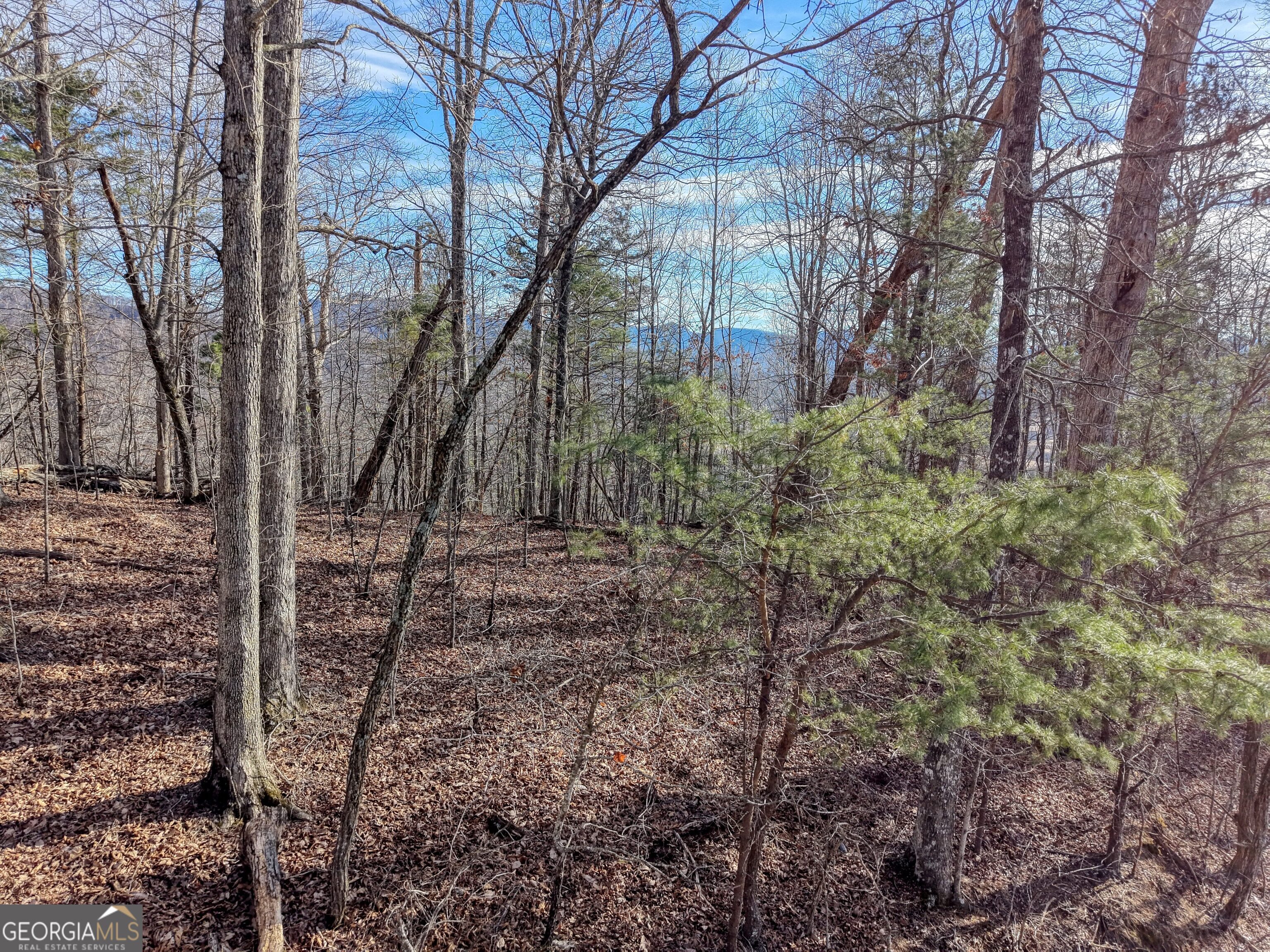 Lot 5 Harris Ridge Property Photo 3