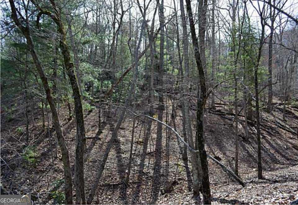2569 Wilderness Parkway Property Photo 2