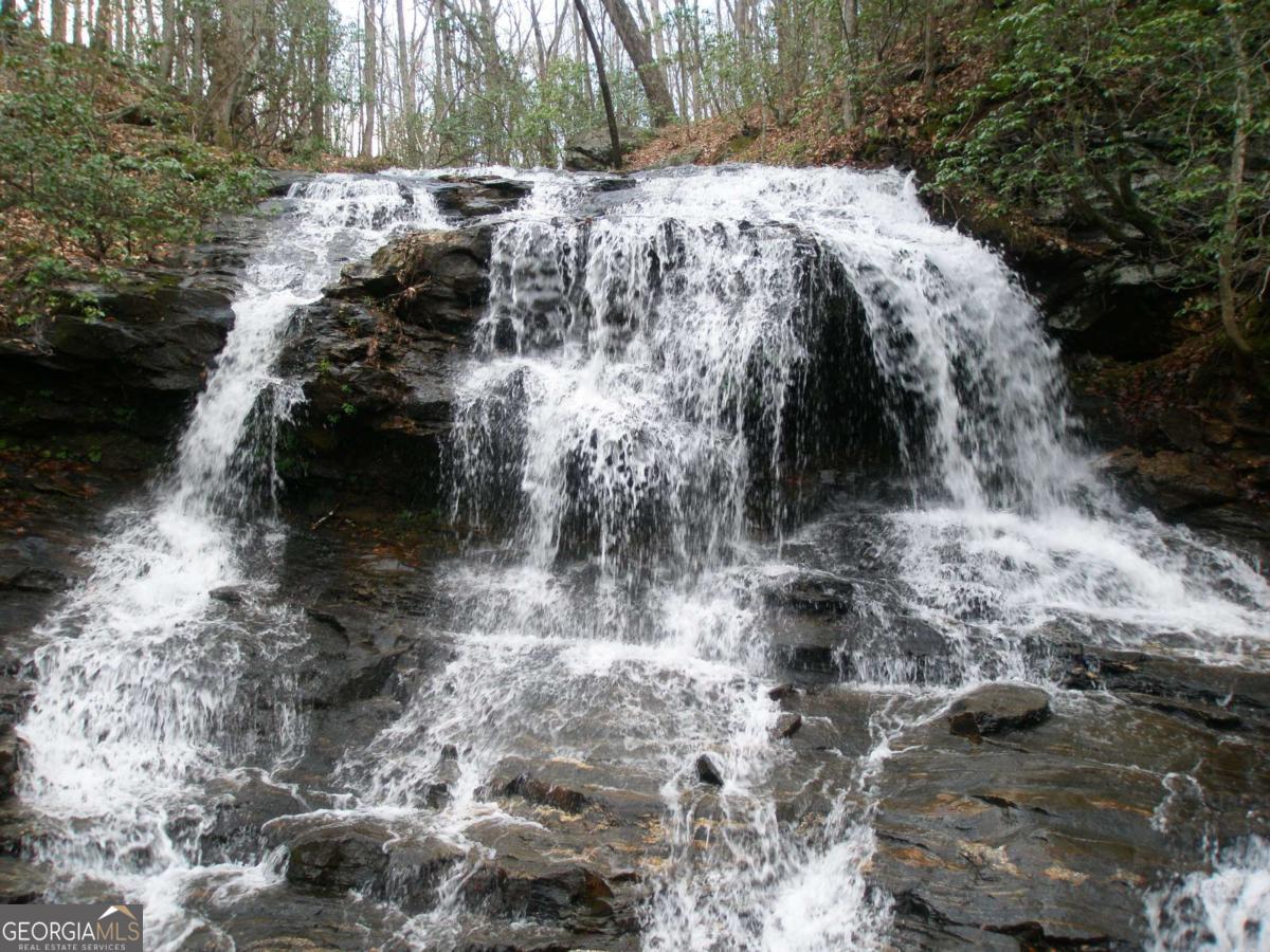 2569 Wilderness Parkway Property Photo 5