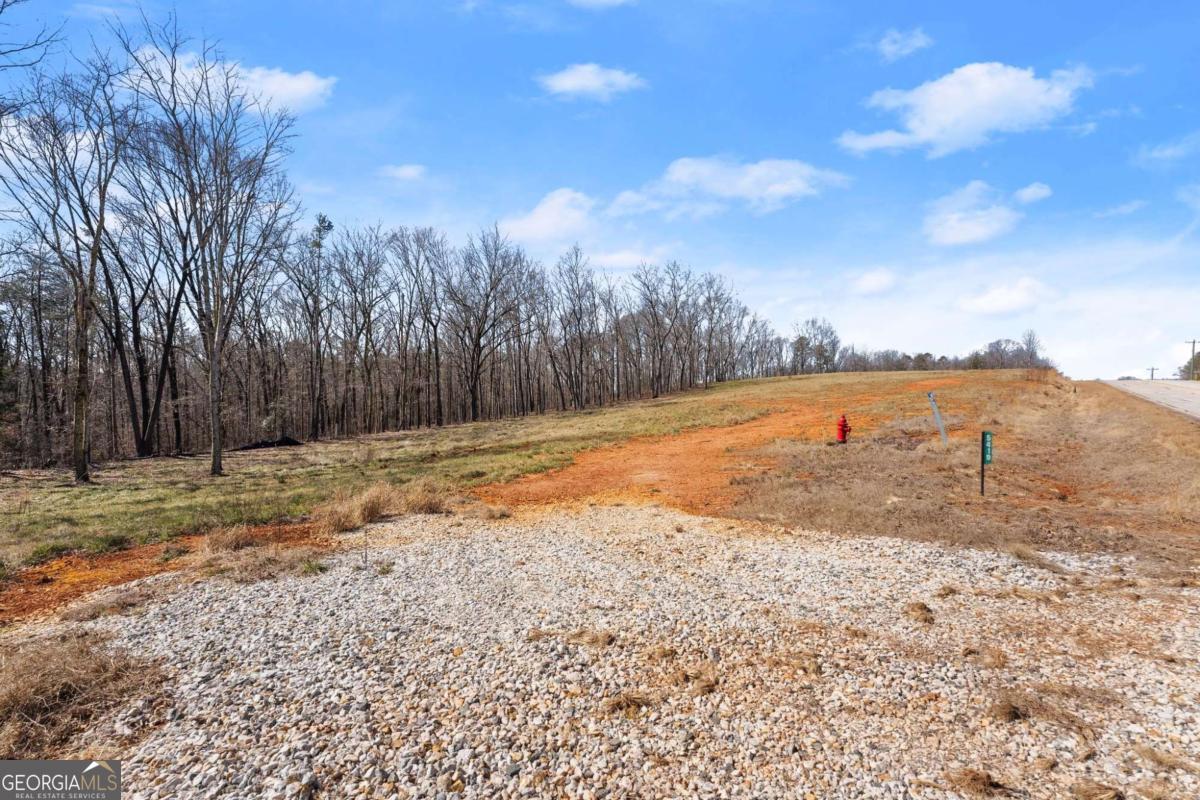 5419 Highway 320 Property Photo 2