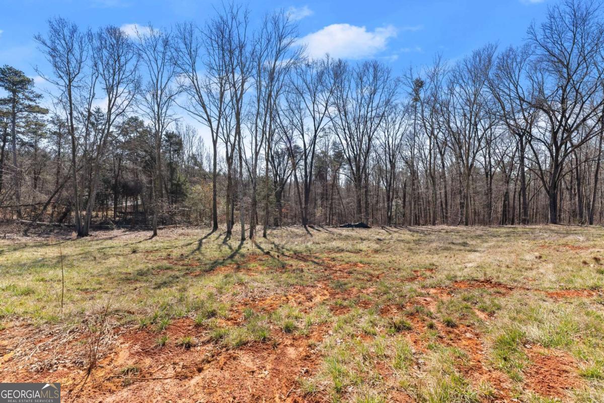 5419 Highway 320 Property Photo 3