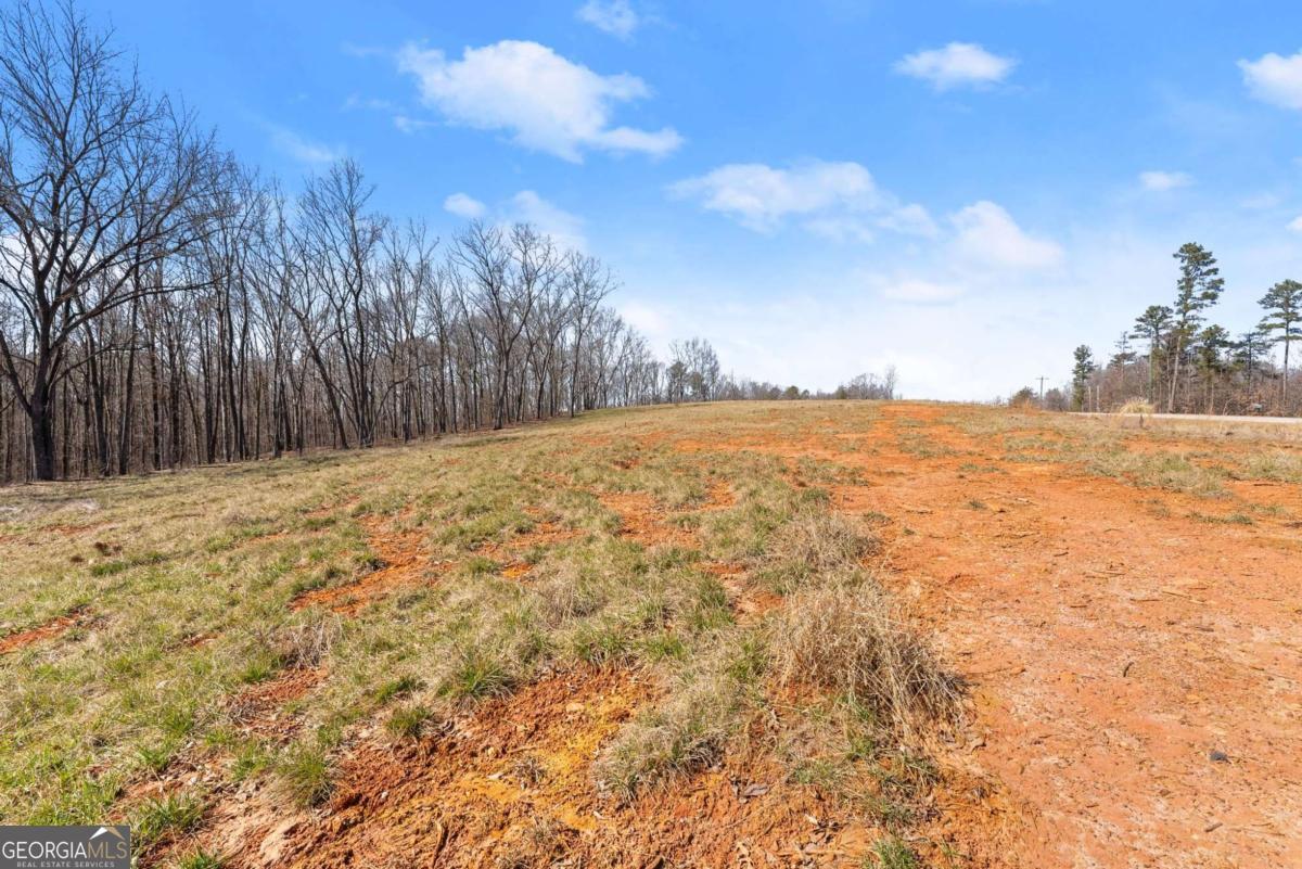 5419 Highway 320 Property Photo 4