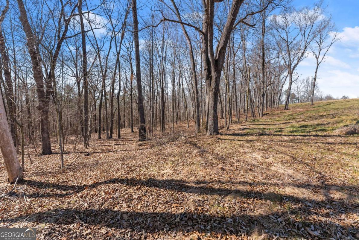 5419 Highway 320 Property Photo 5