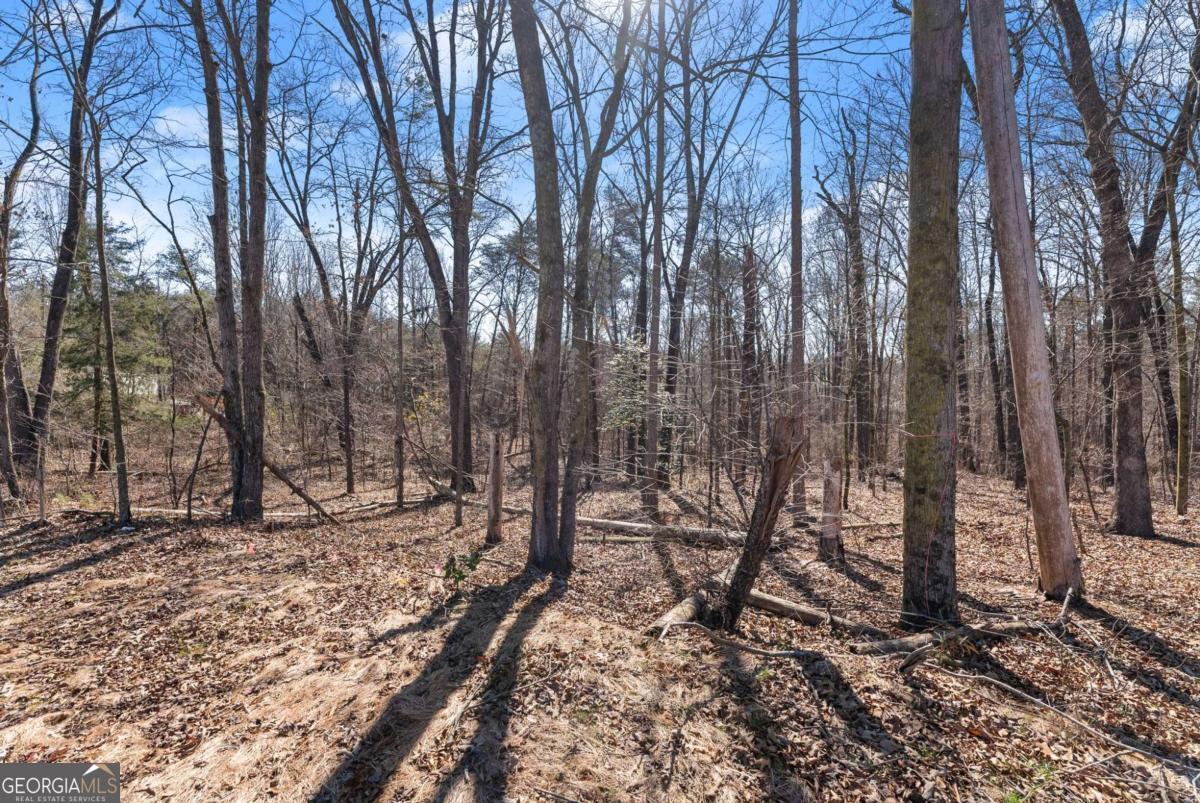5419 Highway 320 Property Photo 6