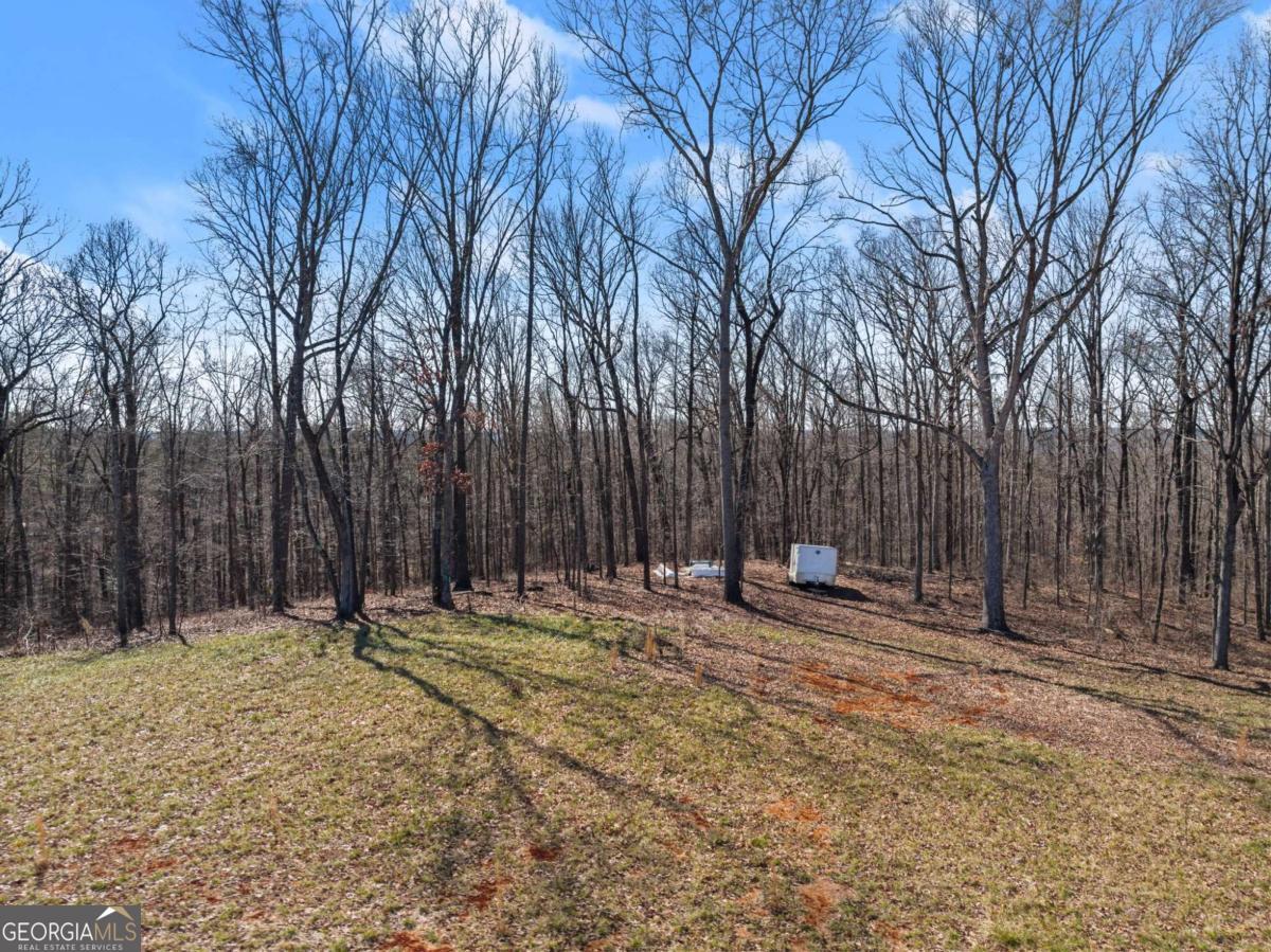 5419 Highway 320 Property Photo 8