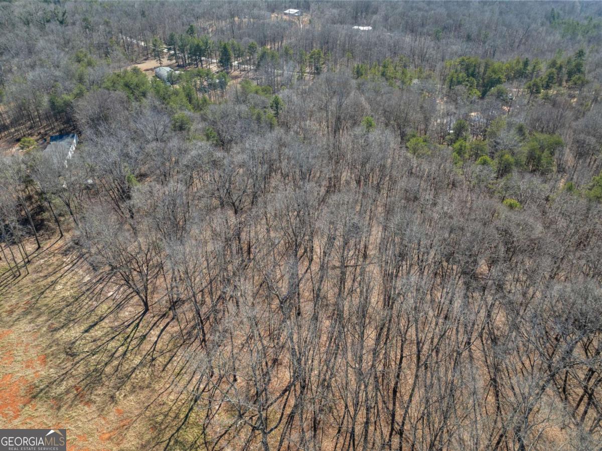 5419 Highway 320 Property Photo 10