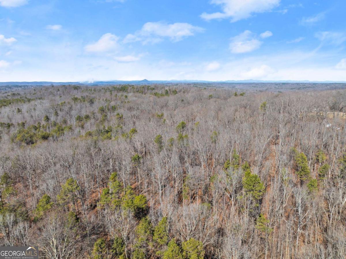 5419 Highway 320 Property Photo 16