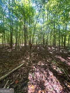 2607 Hughes Road Property Photo 4