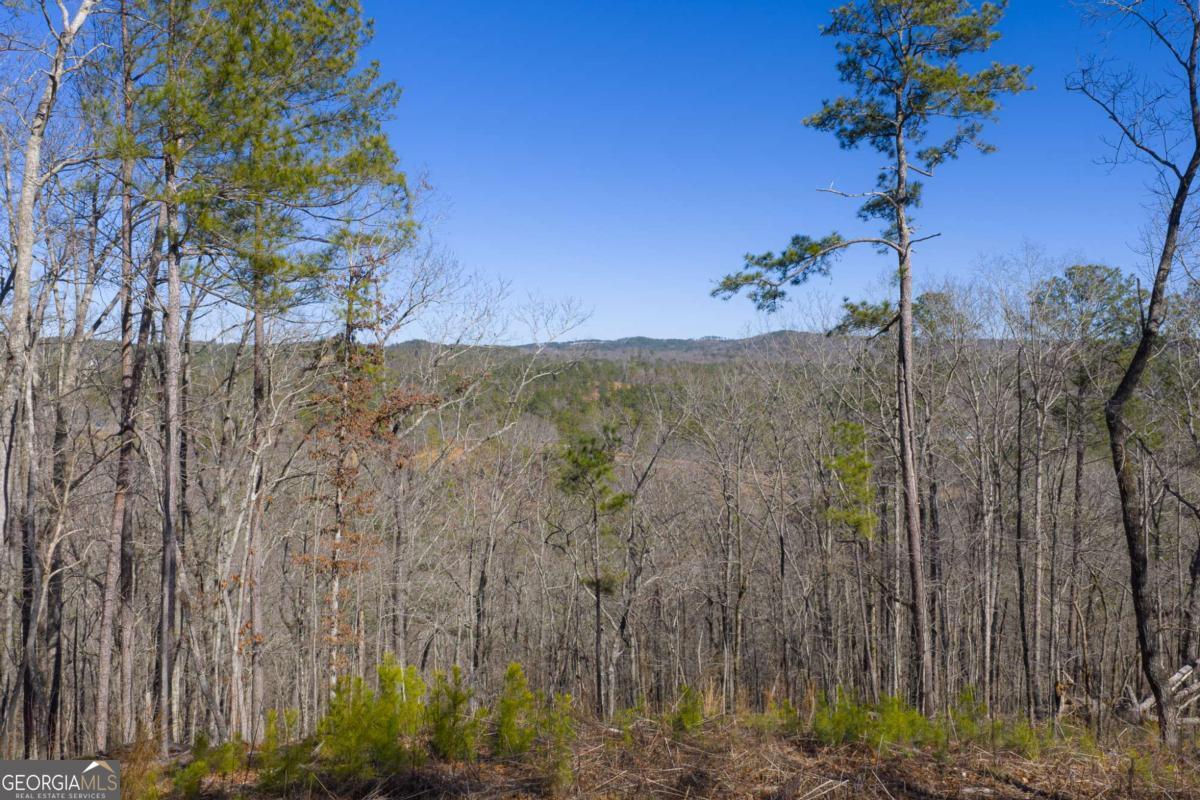 Lot 285 Anglers Ridge Road Property Photo 2