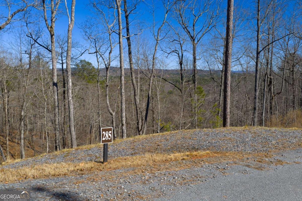 Lot 285 Anglers Ridge Road Property Photo 4