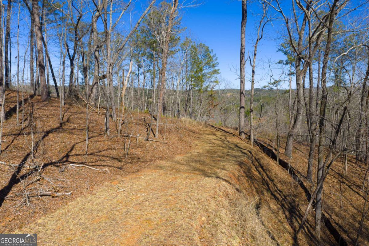 Lot 285 Anglers Ridge Road Property Photo 7