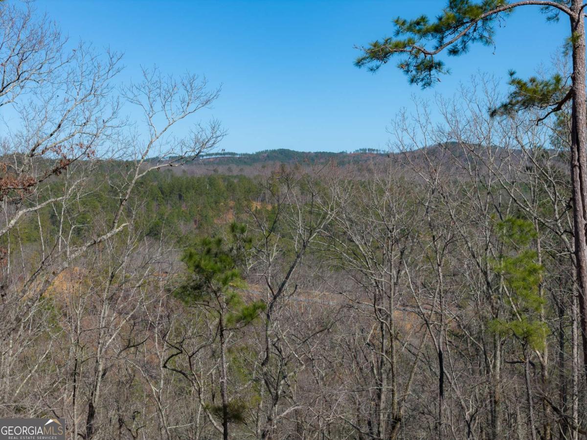 Lot 285 Anglers Ridge Road Property Photo 8
