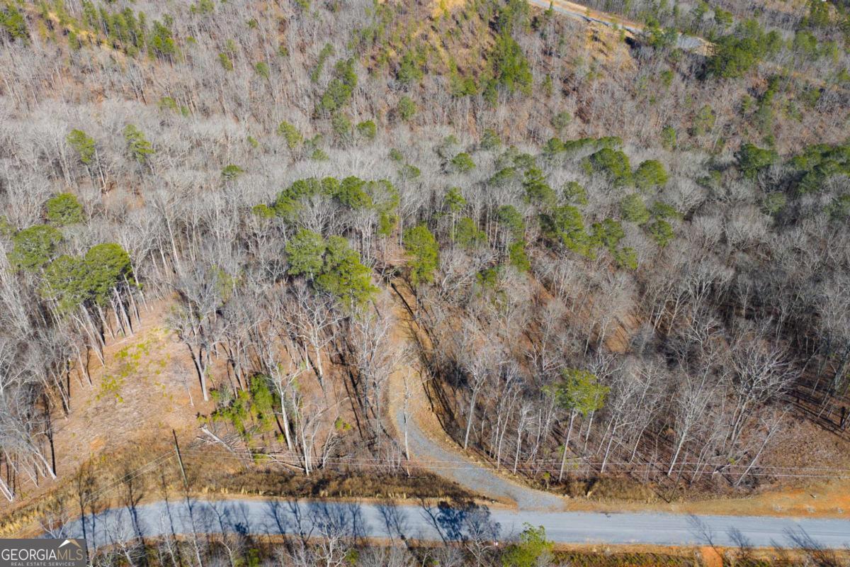 Lot 285 Anglers Ridge Road Property Photo 12