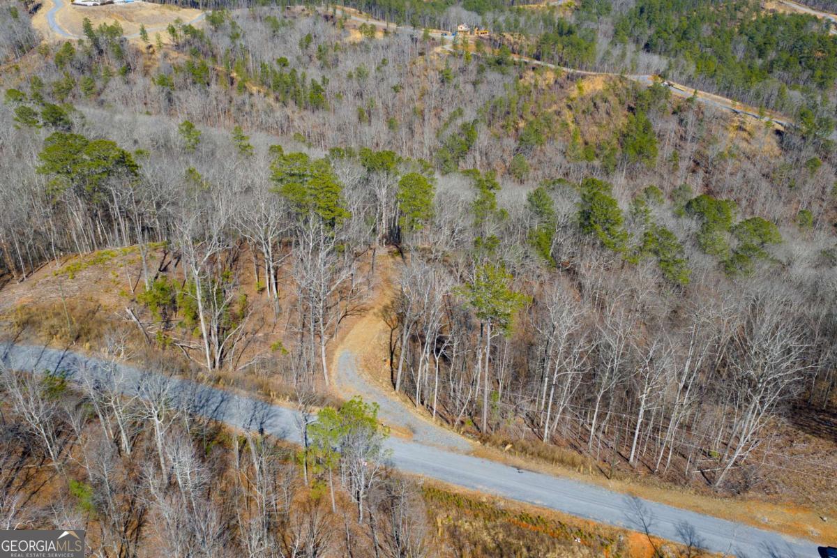 Lot 285 Anglers Ridge Road Property Photo 13