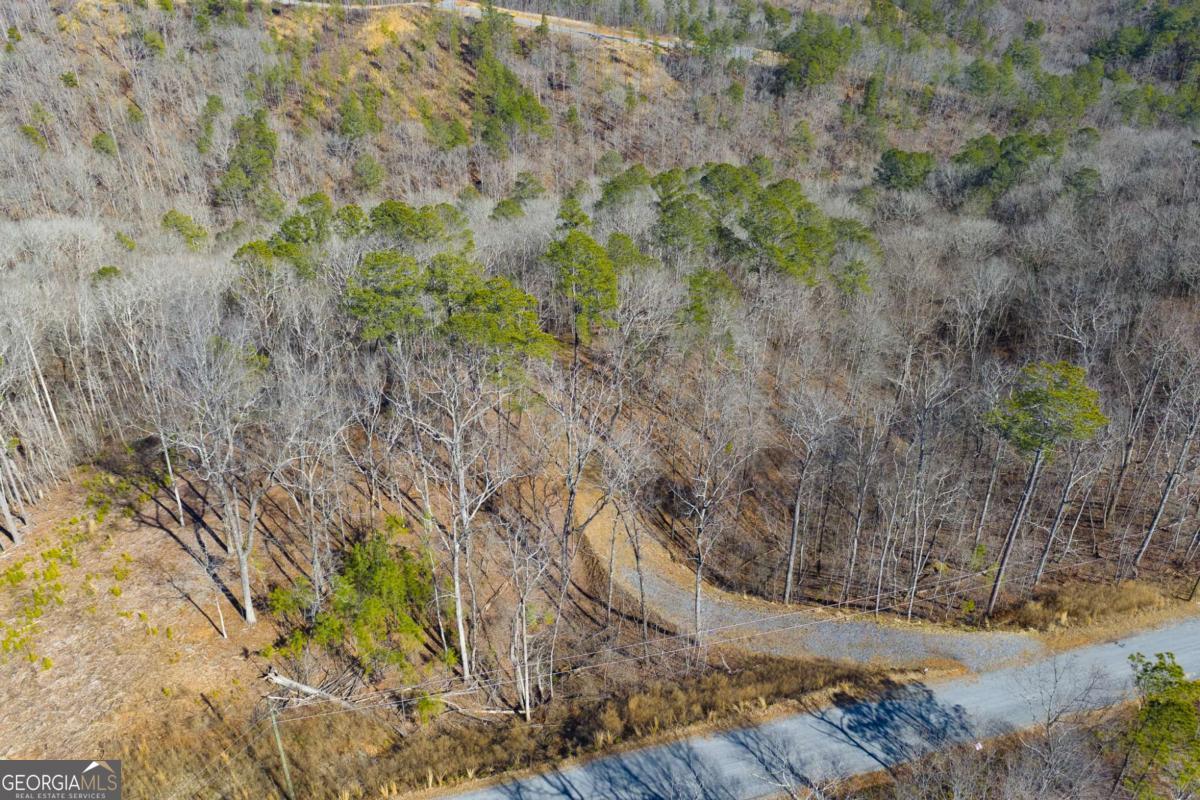 Lot 285 Anglers Ridge Road Property Photo 14