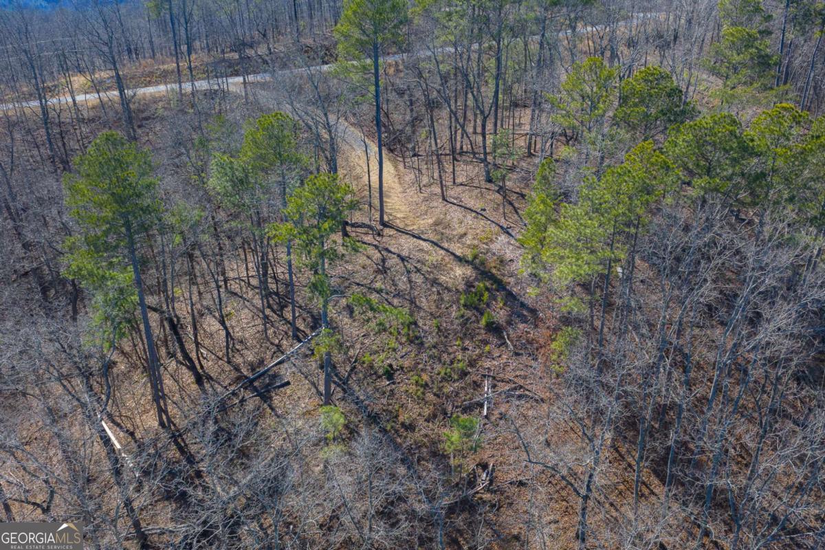 Lot 285 Anglers Ridge Road Property Photo 15