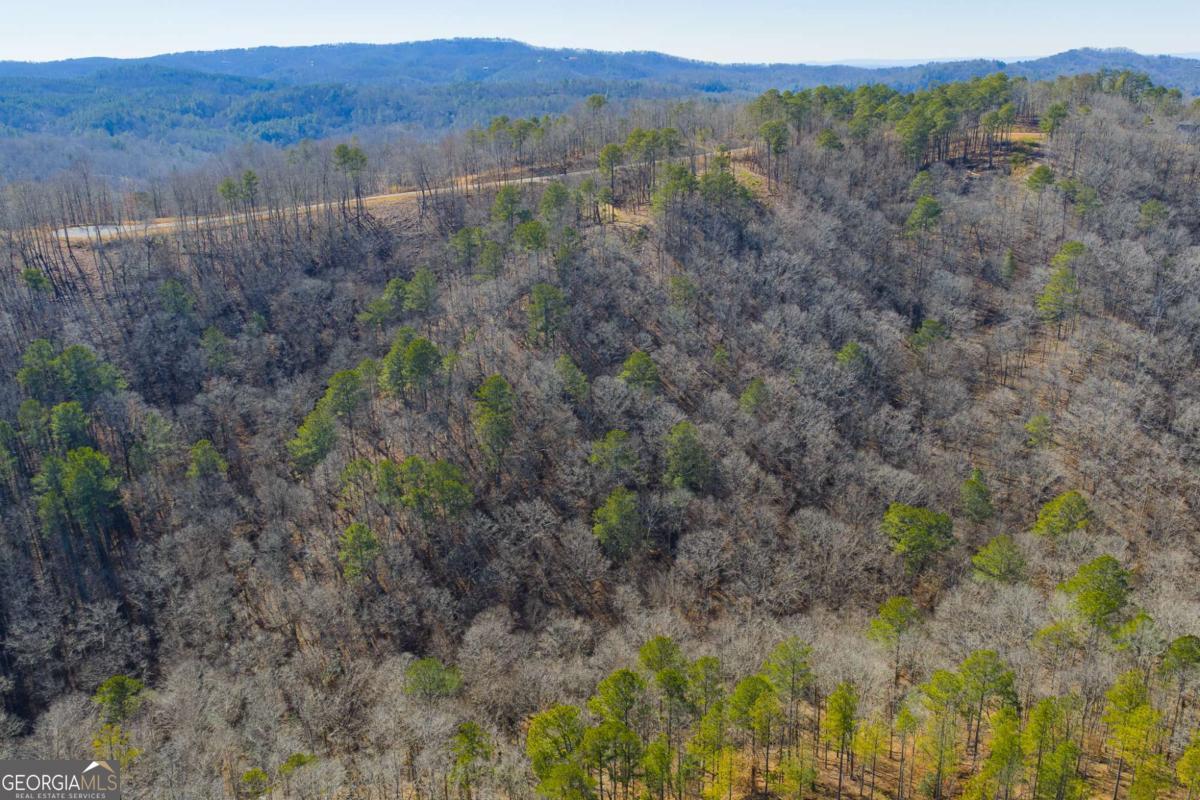 Lot 285 Anglers Ridge Road Property Photo 16