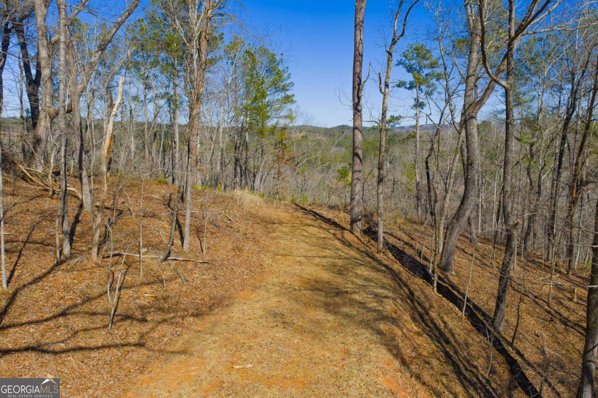 Lot 285 Anglers Ridge Road Property Photo 19