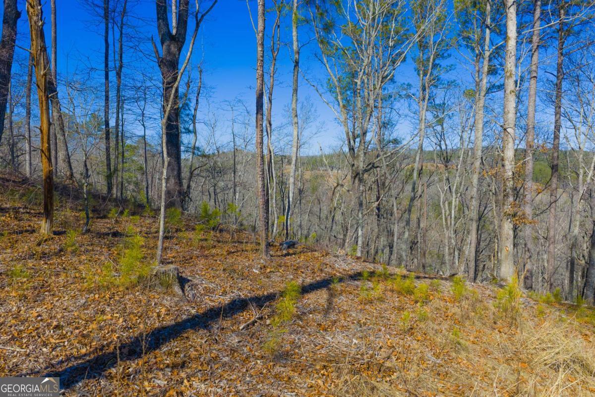 Lot 285 Anglers Ridge Road Property Photo 20