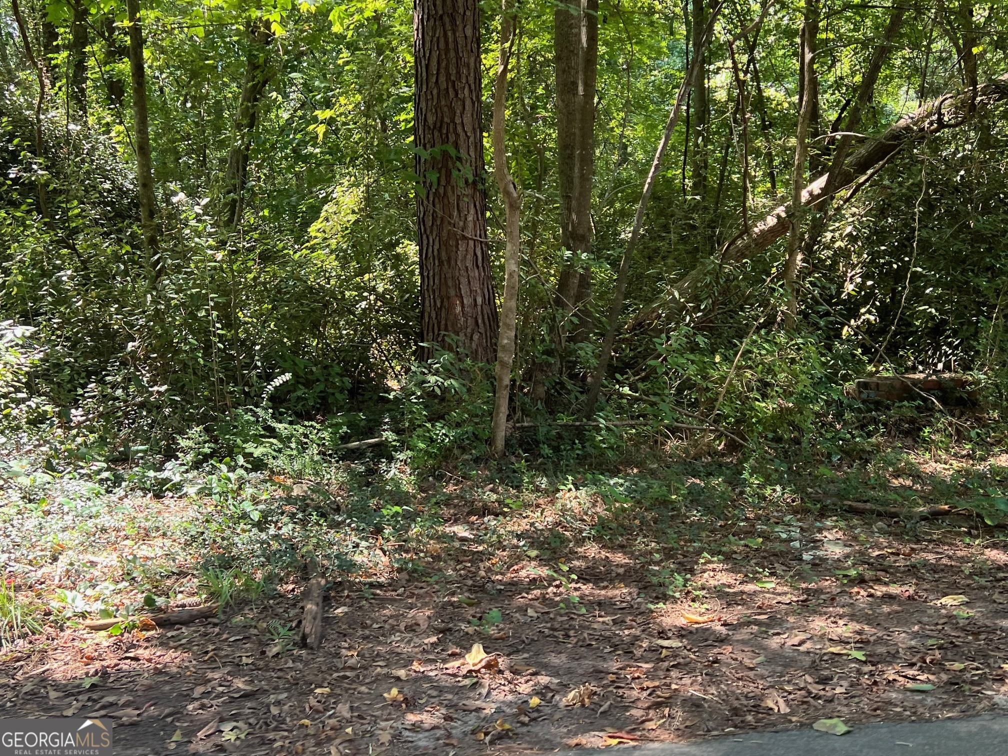 0 Tye Property Photo 3