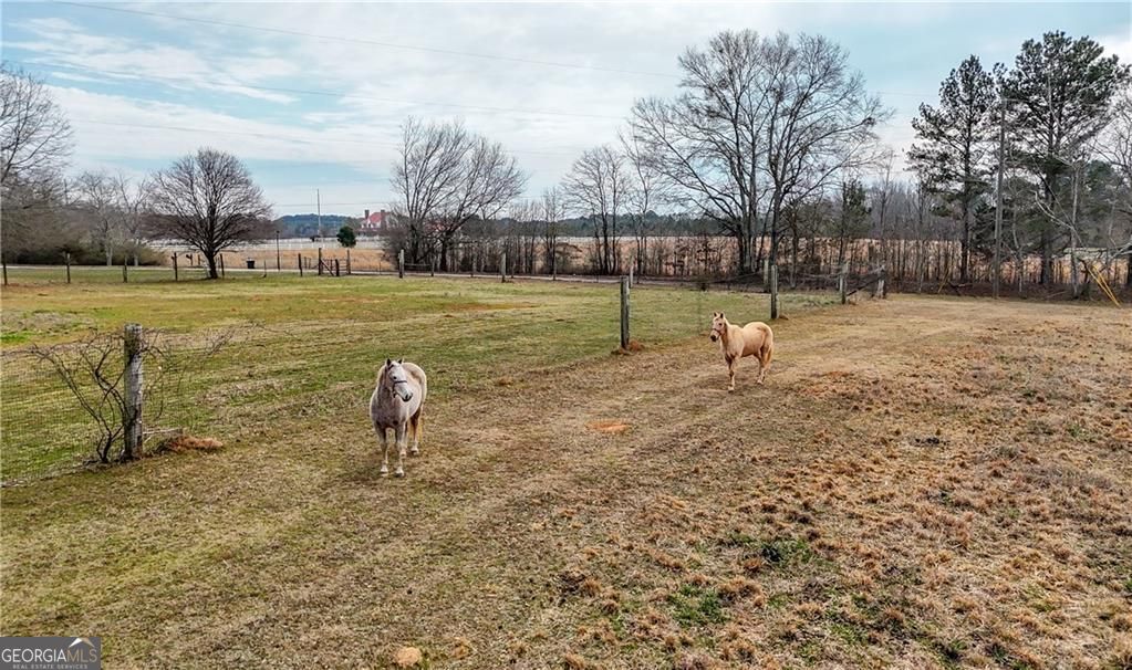 298 Trestle Road Property Photo 34