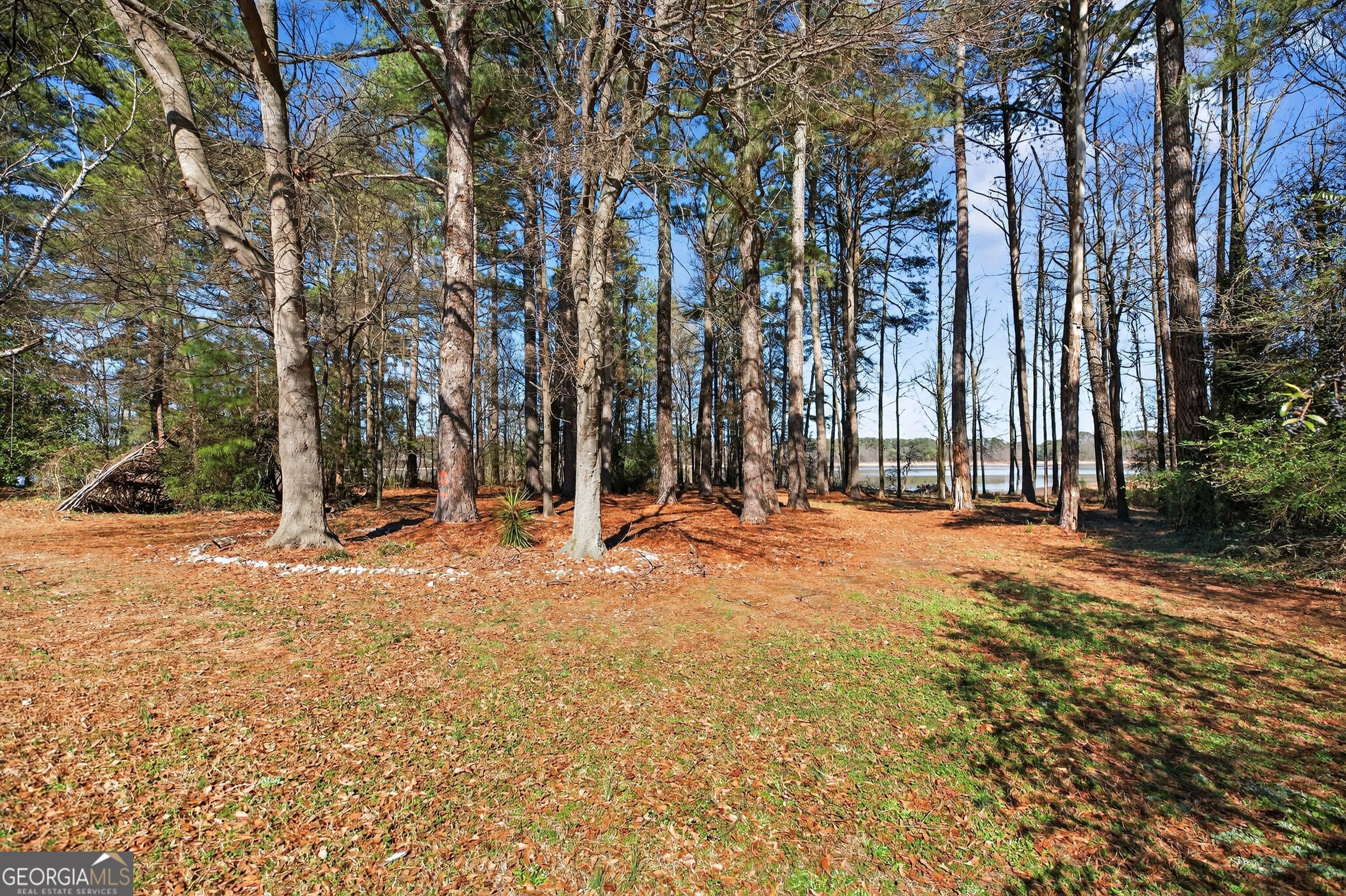 3400 Old Dobbins Bridge Road Property Photo 21