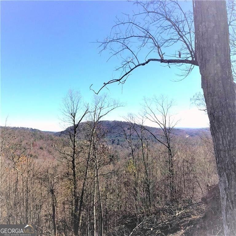 8104 Wilderness Parkway Property Photo 1