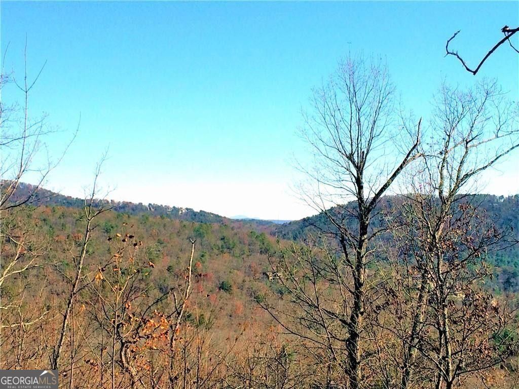 8104 Wilderness Parkway Property Photo 2