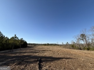 142 Wilson Property Photo 17