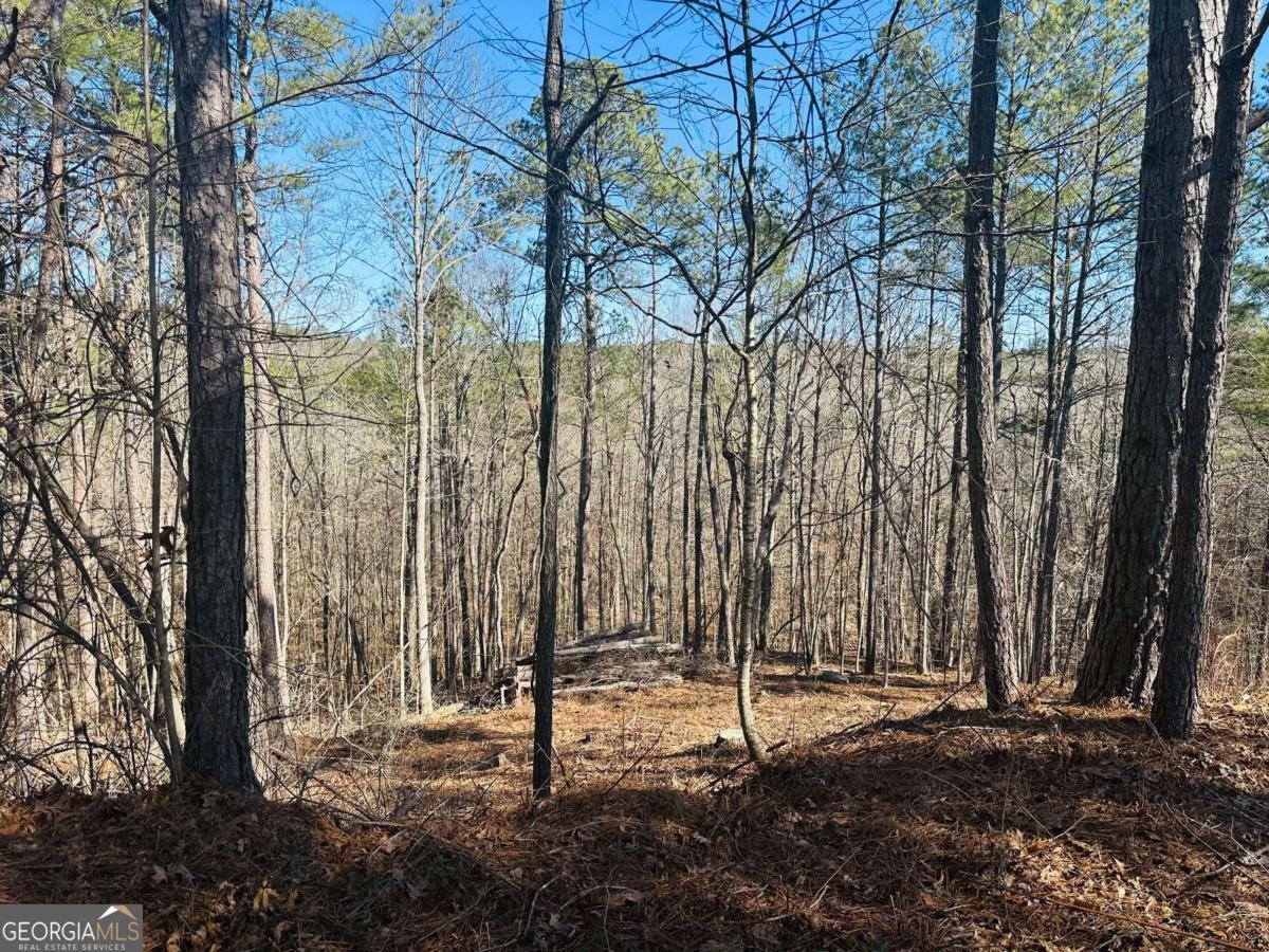 9590 Grande Drive Property Photo 4