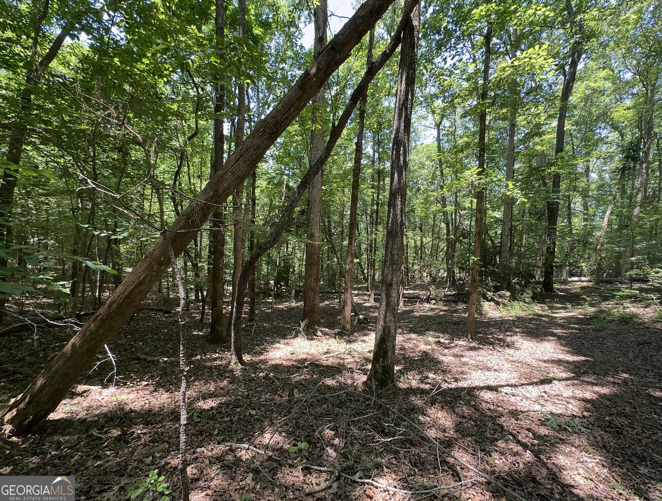0 Rocky Point Road Property Photo 11