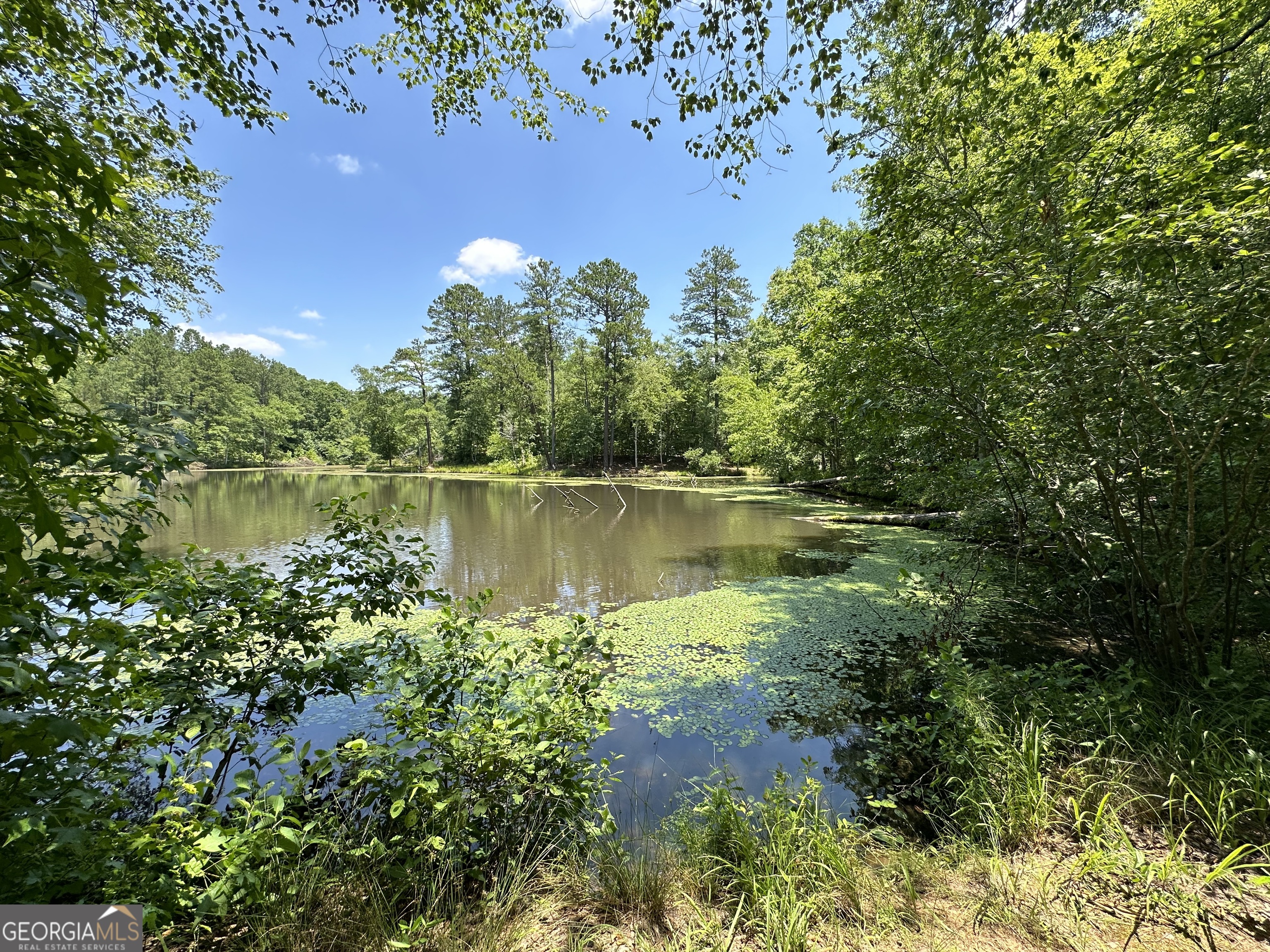 0 Rocky Point Road Property Photo 12