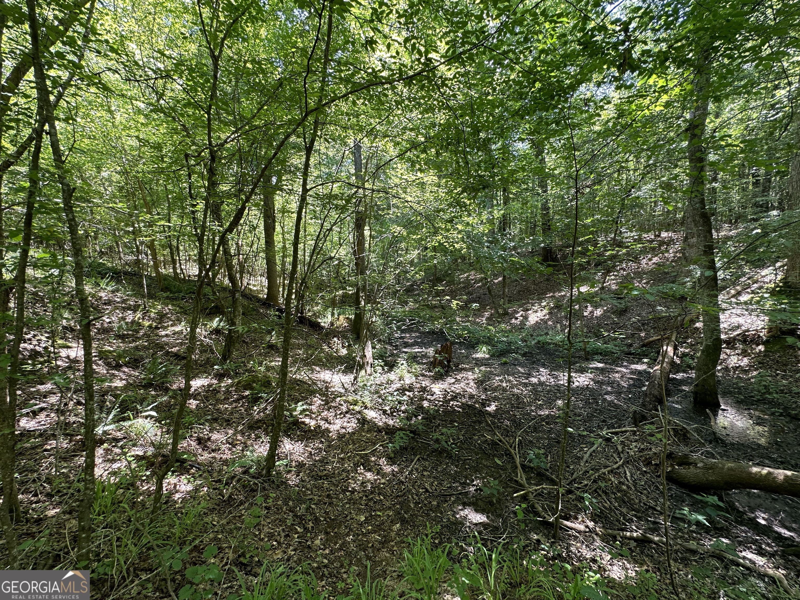 0 Rocky Point Road Property Photo 13